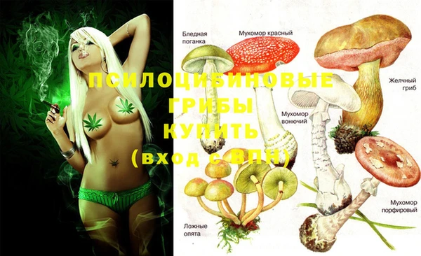 мяу мяу кристалл Магас