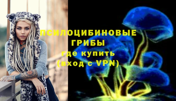 мяу мяу кристалл Магас