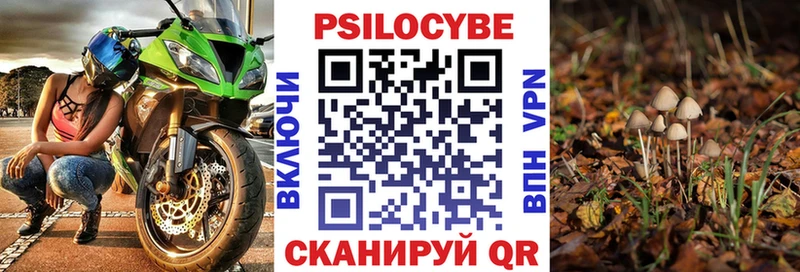 Галлюциногенные грибы мухоморы Горячеводский